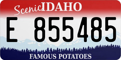 ID license plate E855485