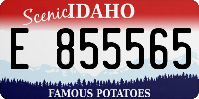 ID license plate E855565