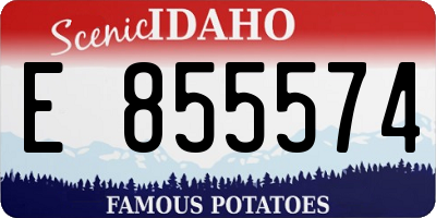 ID license plate E855574