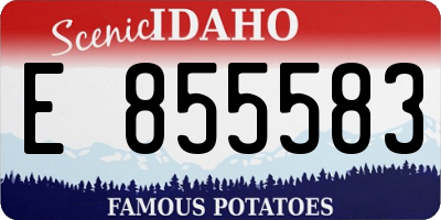 ID license plate E855583