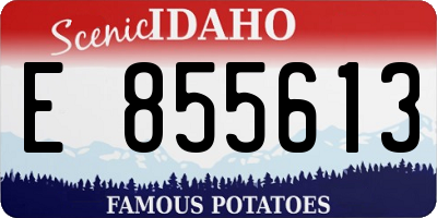 ID license plate E855613