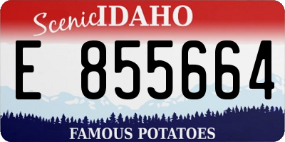 ID license plate E855664