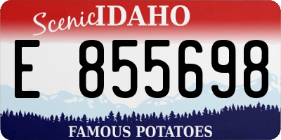 ID license plate E855698