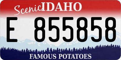 ID license plate E855858