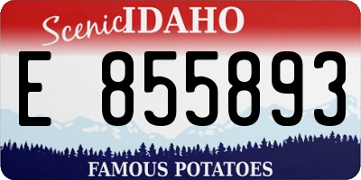ID license plate E855893