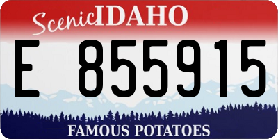 ID license plate E855915