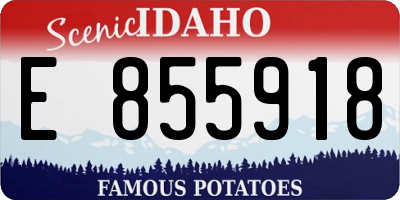 ID license plate E855918