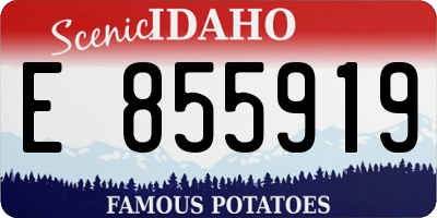 ID license plate E855919