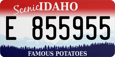 ID license plate E855955