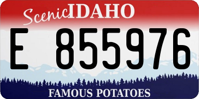 ID license plate E855976