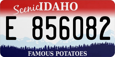 ID license plate E856082