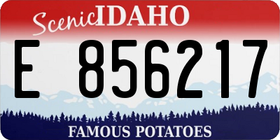 ID license plate E856217