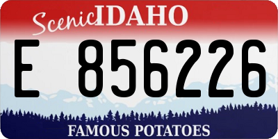 ID license plate E856226
