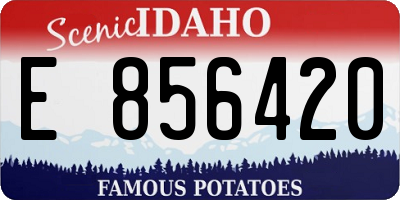 ID license plate E856420