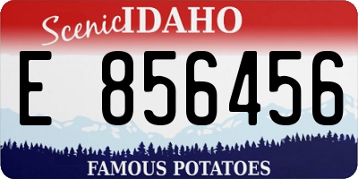 ID license plate E856456