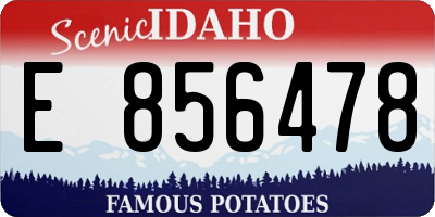 ID license plate E856478
