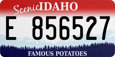 ID license plate E856527
