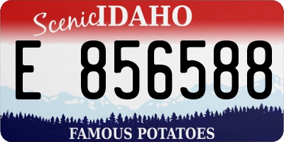 ID license plate E856588