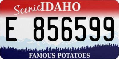ID license plate E856599
