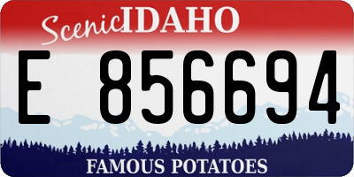 ID license plate E856694