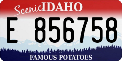 ID license plate E856758