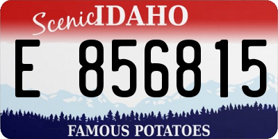ID license plate E856815