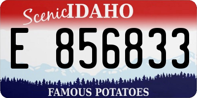 ID license plate E856833