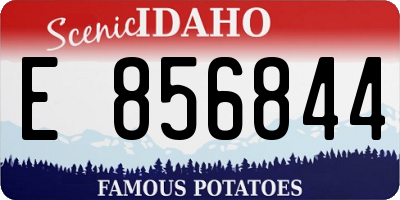 ID license plate E856844