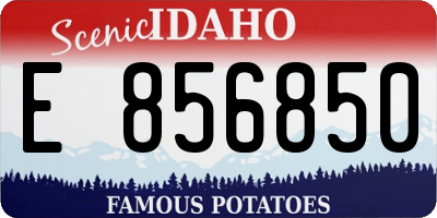 ID license plate E856850