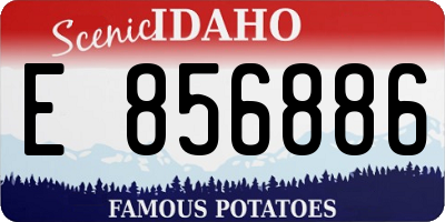 ID license plate E856886