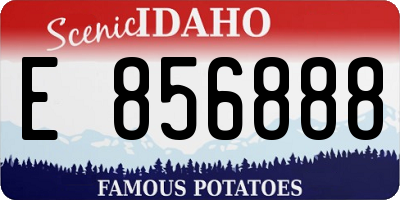 ID license plate E856888