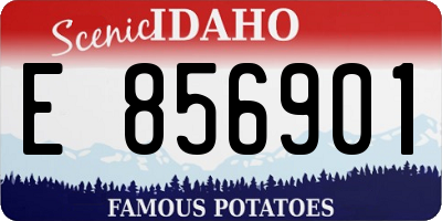 ID license plate E856901