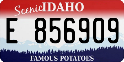 ID license plate E856909