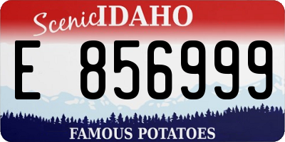 ID license plate E856999