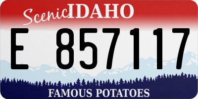 ID license plate E857117