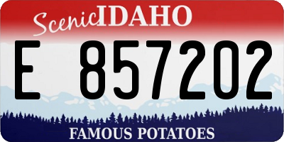 ID license plate E857202