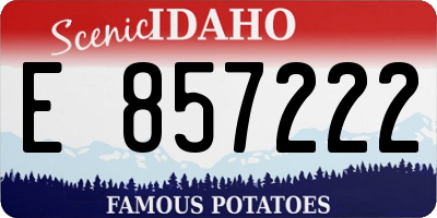 ID license plate E857222