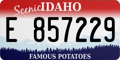 ID license plate E857229