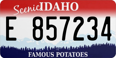 ID license plate E857234