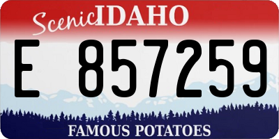 ID license plate E857259