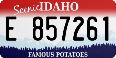 ID license plate E857261