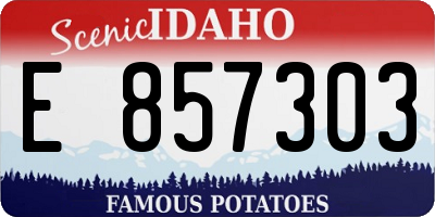 ID license plate E857303