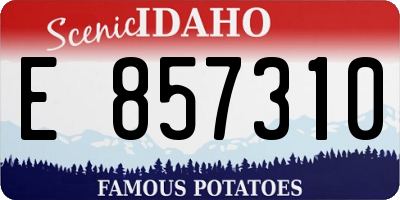 ID license plate E857310