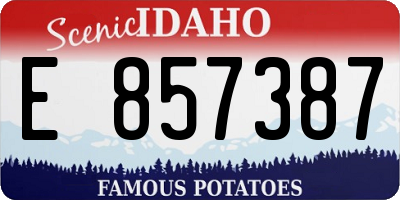 ID license plate E857387