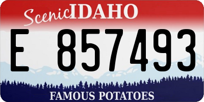 ID license plate E857493