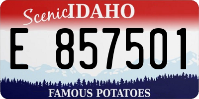 ID license plate E857501