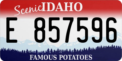 ID license plate E857596