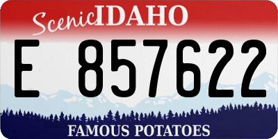 ID license plate E857622