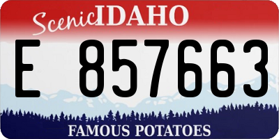 ID license plate E857663