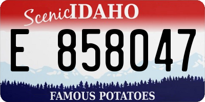 ID license plate E858047